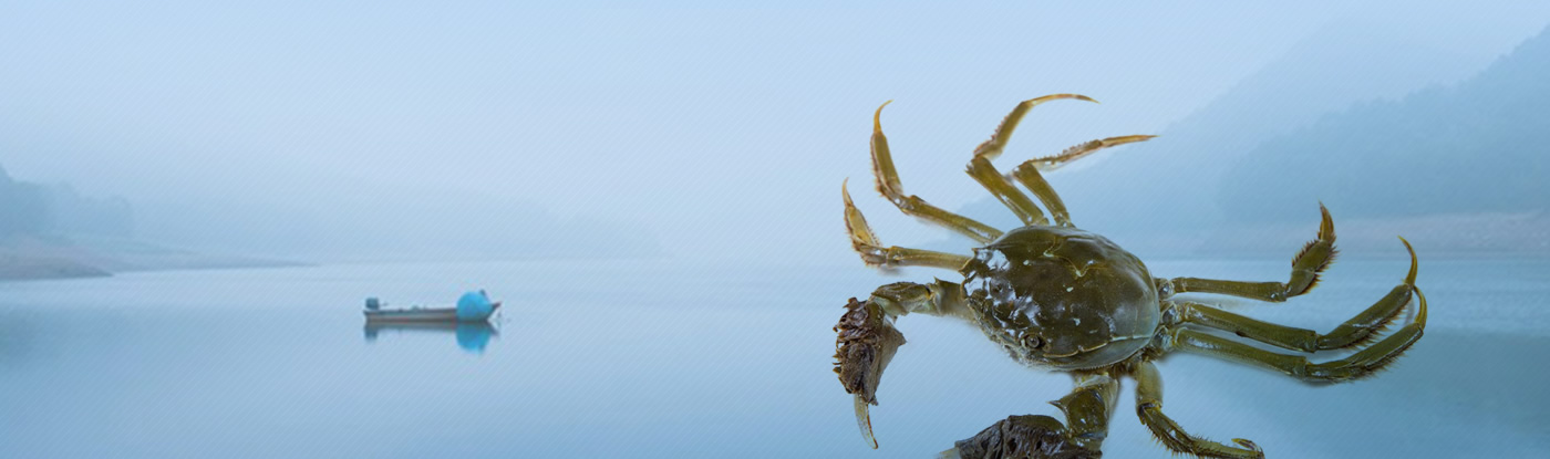 ����з��