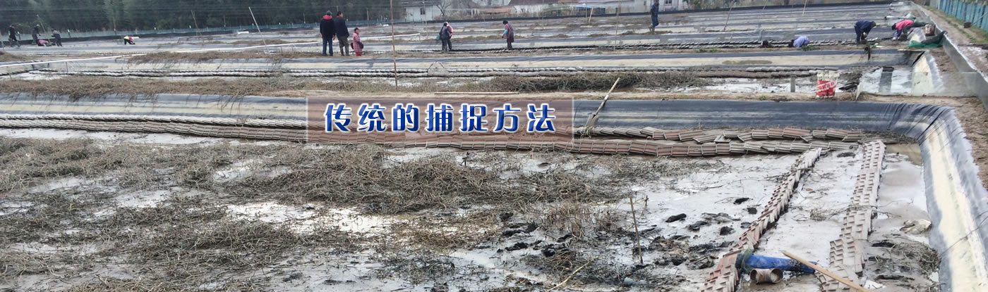 ����з��