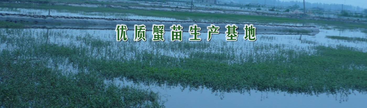 ����з��