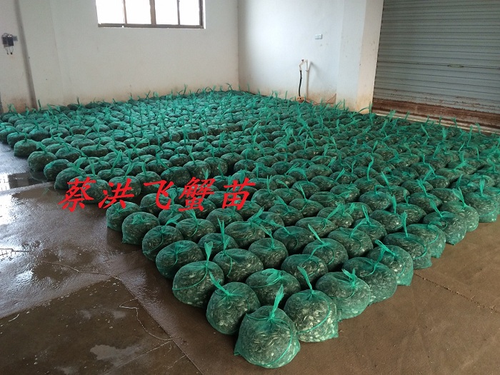 з�������...