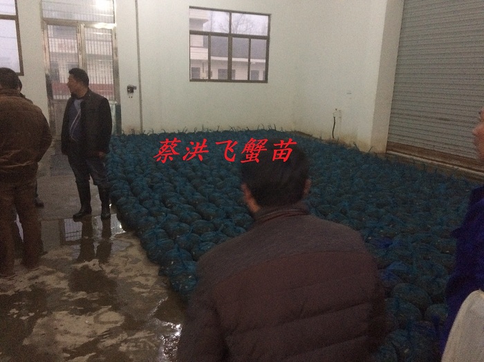 з�������...